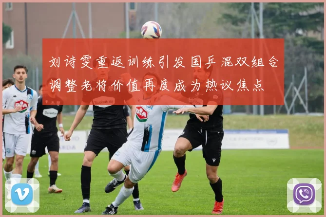 刘诗雯重返训练引发国乒混双组合调整老将价值再度成为热议焦点
